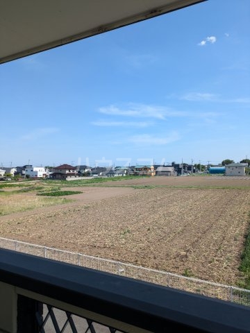 15/19 その他画像