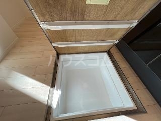 11/29 玄関