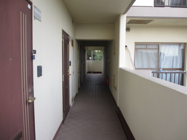 29/30 その他画像