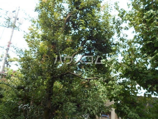 16/23 その他画像