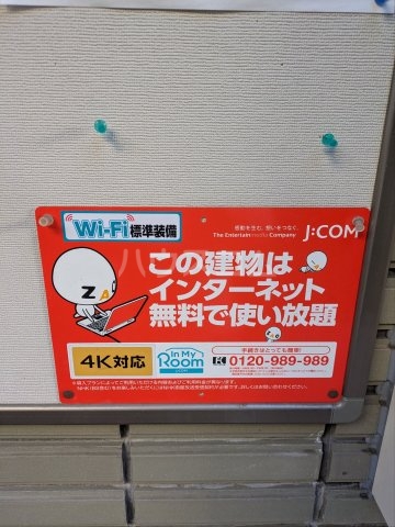2/8 周辺