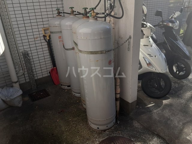 20/30 その他画像