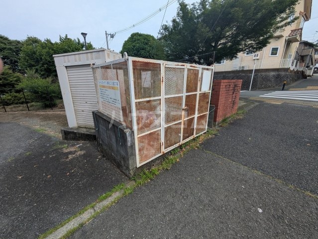 その他画像