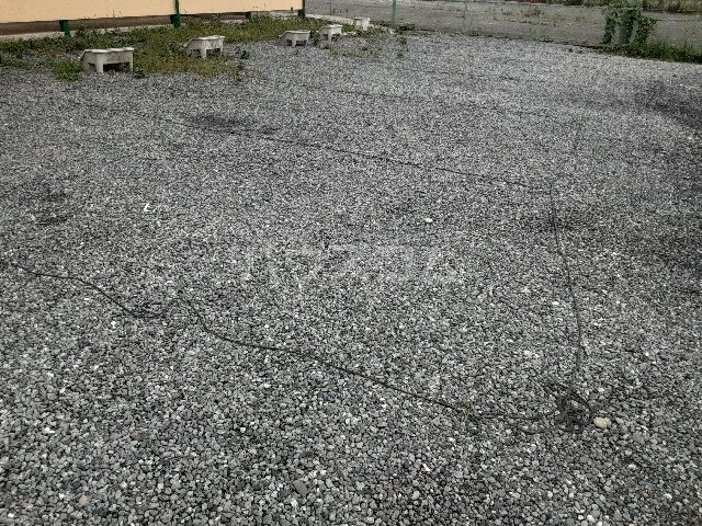 3/13 駐車場