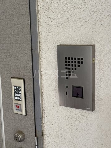 25/30 その他画像