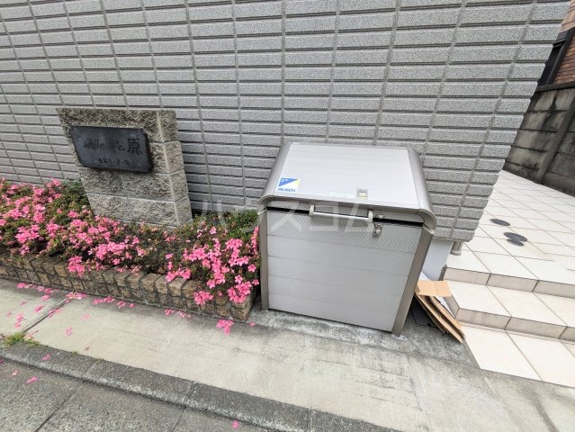27/30 その他画像