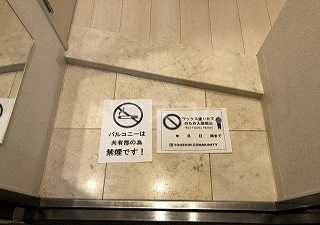 6/26 玄関