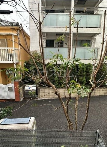 13/20 その他画像