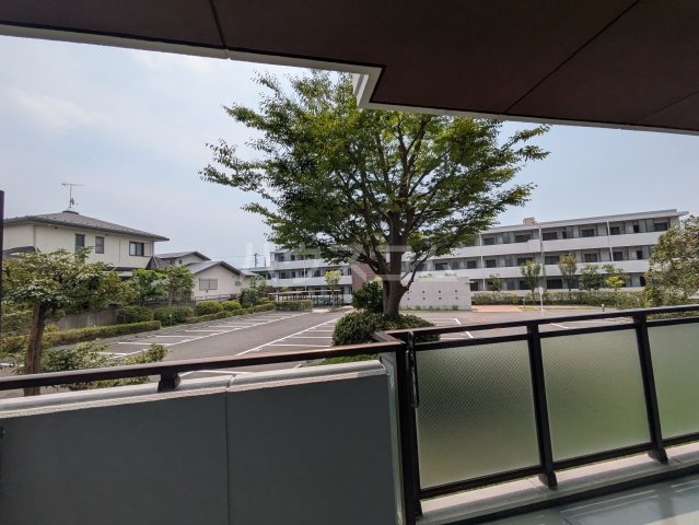 16/19 その他画像