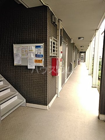 15/19 その他画像