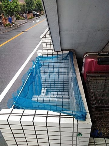 17/27 その他画像