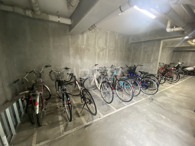 15/29 その他画像