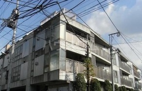 1/19 外観