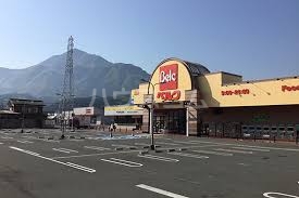3/17 周辺