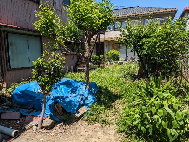 16/21 その他画像