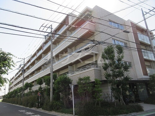2/29 外観