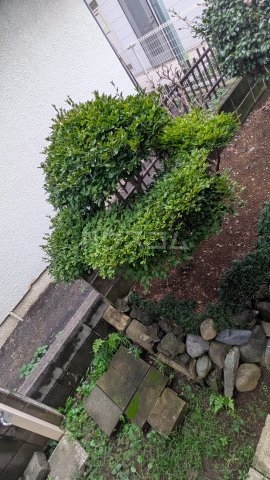 その他画像