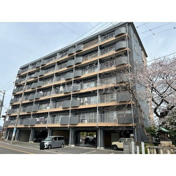 1/29 外観