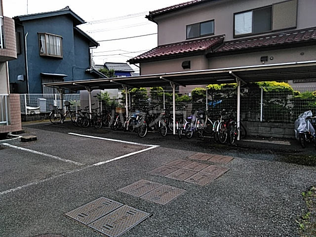 20/30 その他画像