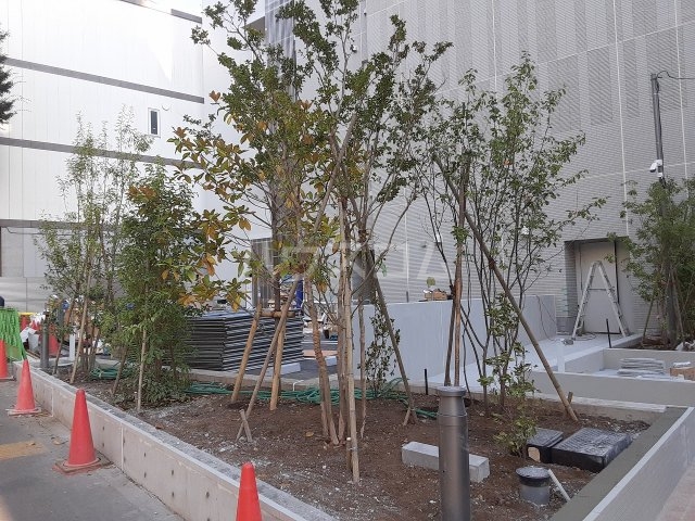 6/16 その他画像
