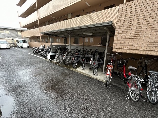 20/30 その他画像