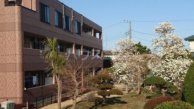 24/30 その他画像