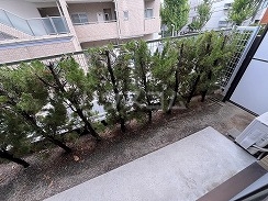 17/30 バルコニー