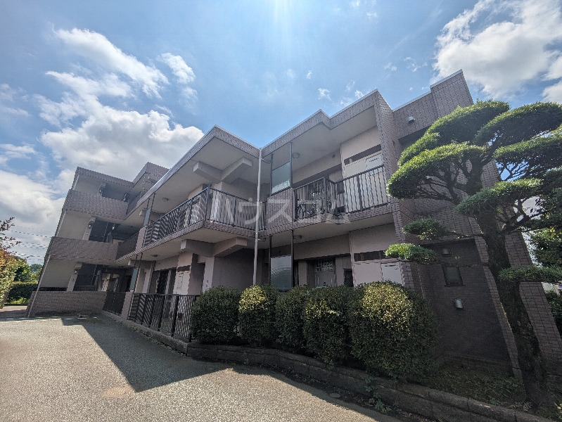 2/29 外観