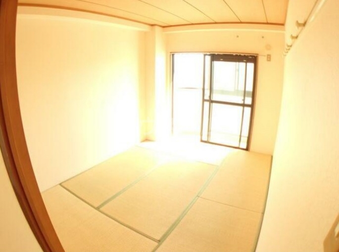 5/24 室内