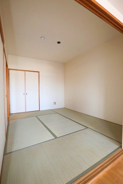 5/24 室内
