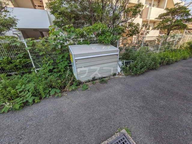 20/30 その他画像