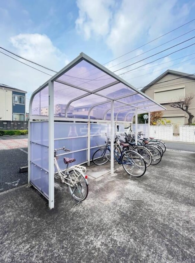 5/17 その他画像