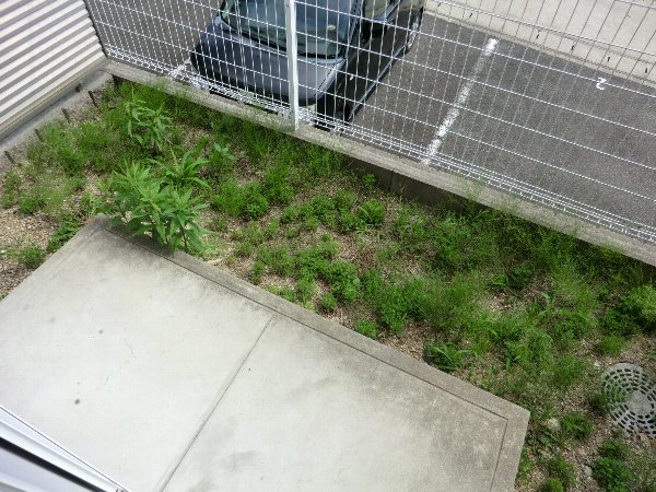 20/26 その他画像