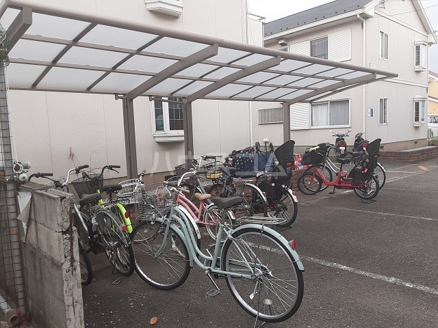 20/30 その他画像