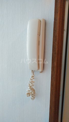 25/29 その他画像