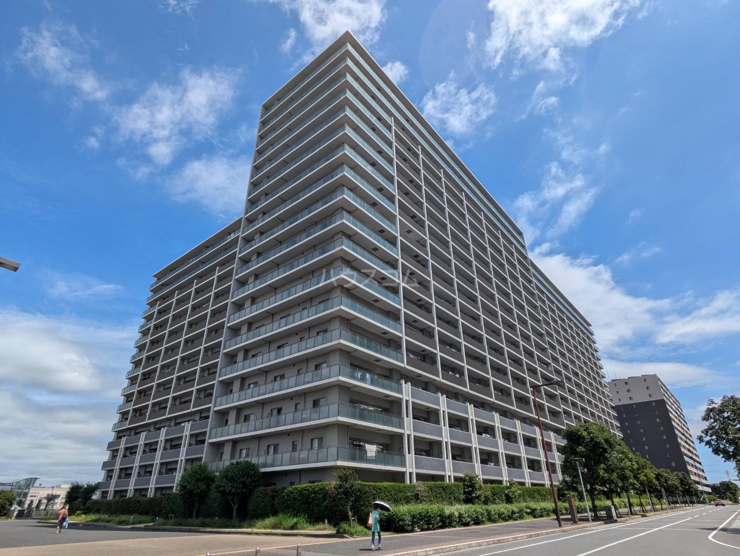 1/19 外観