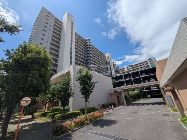 7/19 その他画像