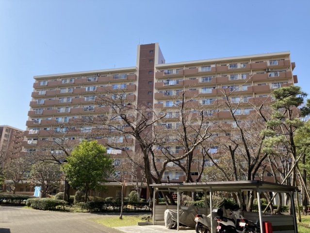 1/6 外観