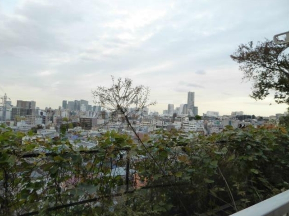 13/19 その他画像