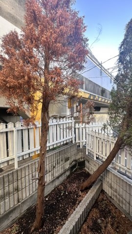 15/21 その他画像