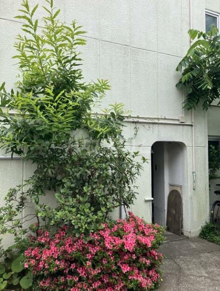 1/2 エントランス