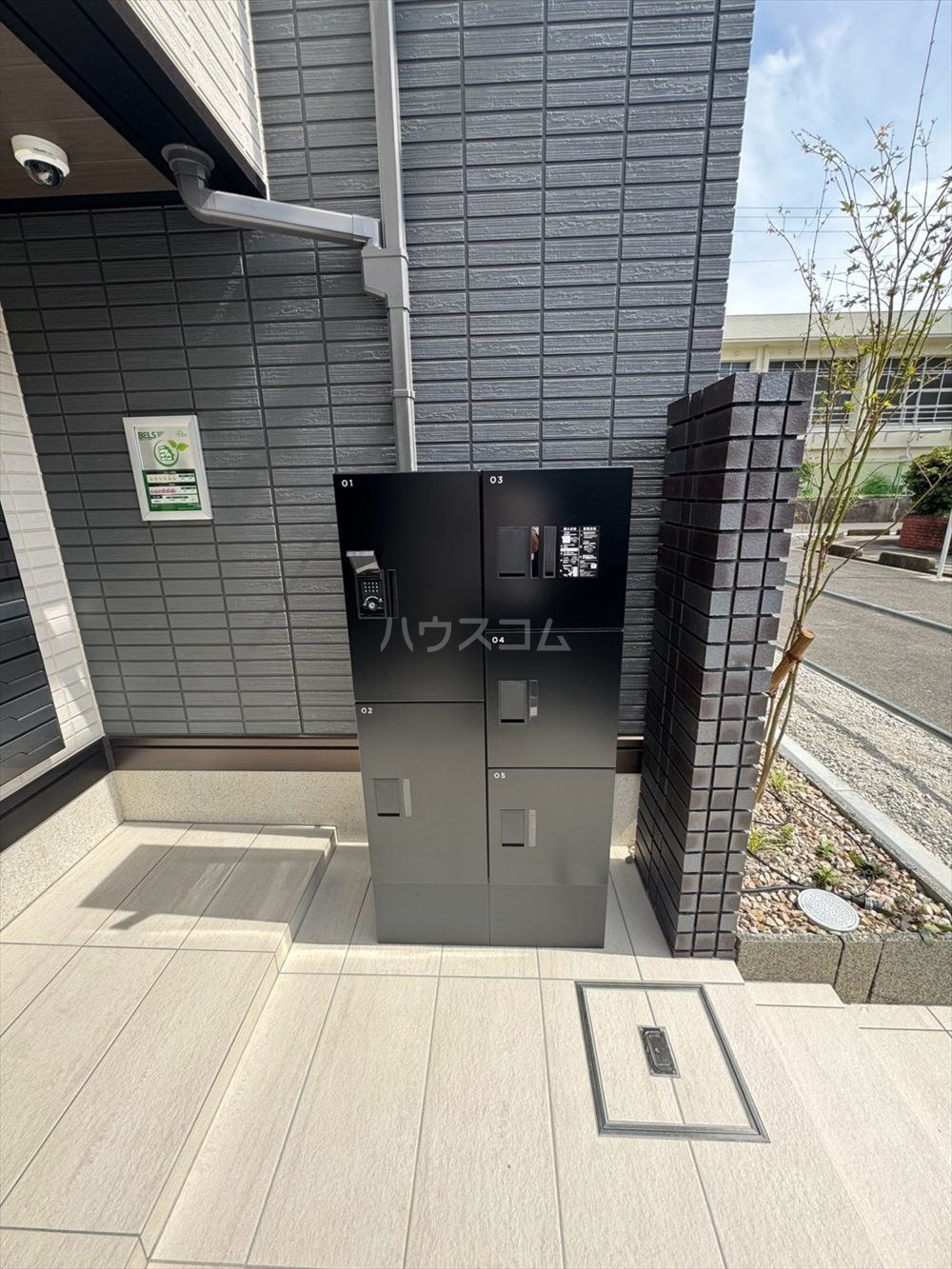29/30 その他画像