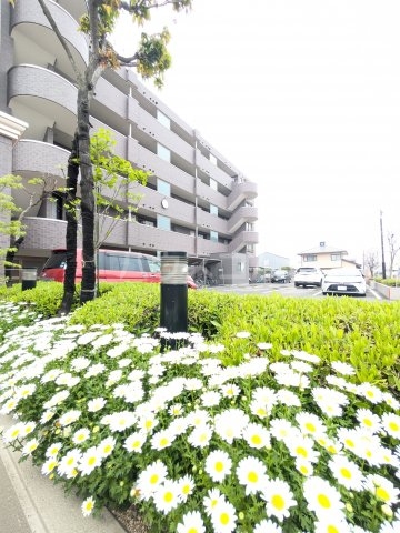 20/26 駐車場