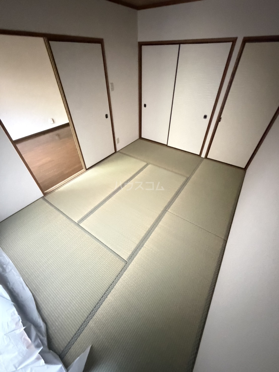 5/29 室内
