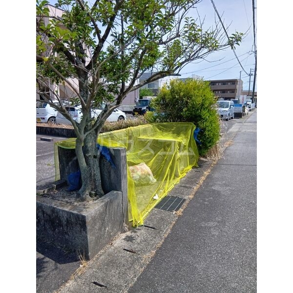 その他画像