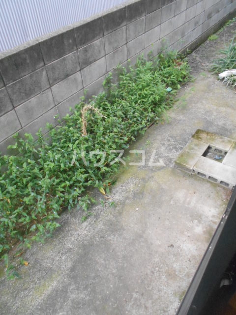 13/21 その他画像