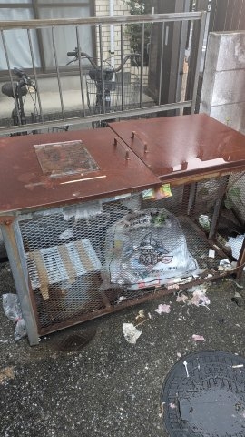 6/15 その他画像