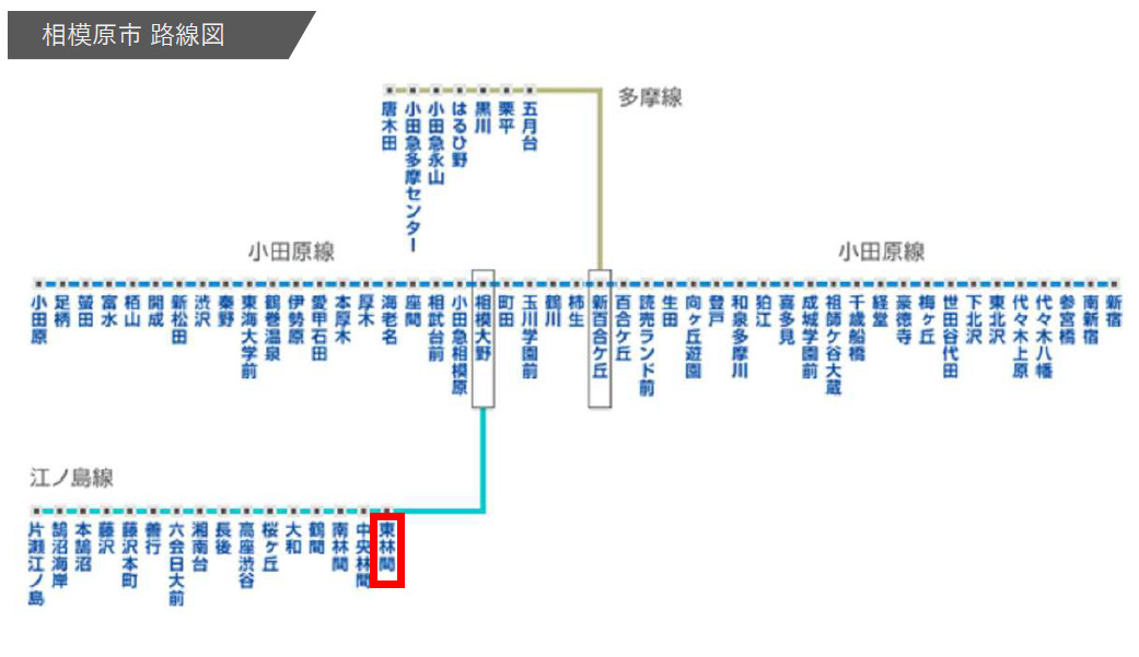 7/7 その他画像