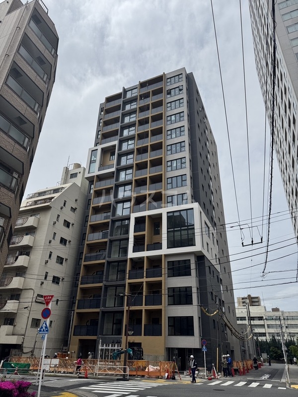 11/19 その他画像