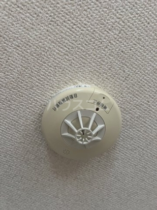 21/25 その他画像